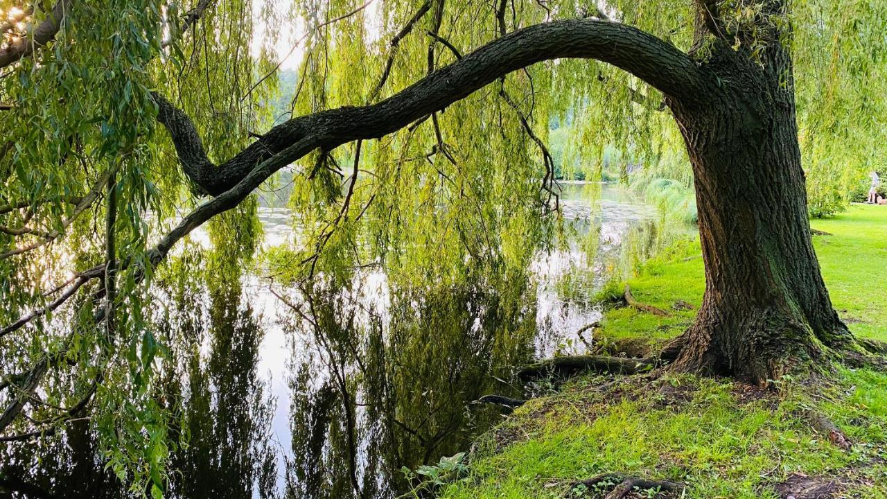 Gemuetliche Wohnung Bad Schwartau Exteriör bild